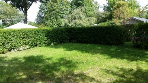 vrije plaatsen caravan te koop groen ruim privacy natuur camping rianto warmond zuid-holland kagerplassen bollenstreek
