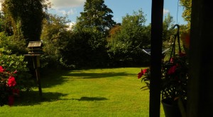 Vrije plaatsen plaats plek camping rianto warmond kagerplassen bollenstreek zuid-holland groen ruim kavel privacy